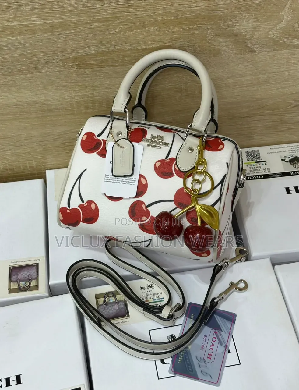 Coach Rowan Luxury Mini Bag