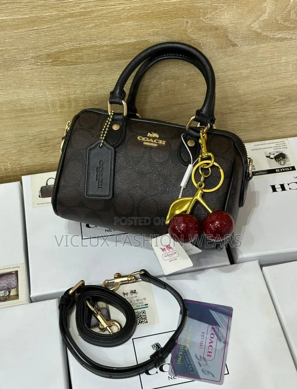 Coach Rowan Luxury Mini Bag
