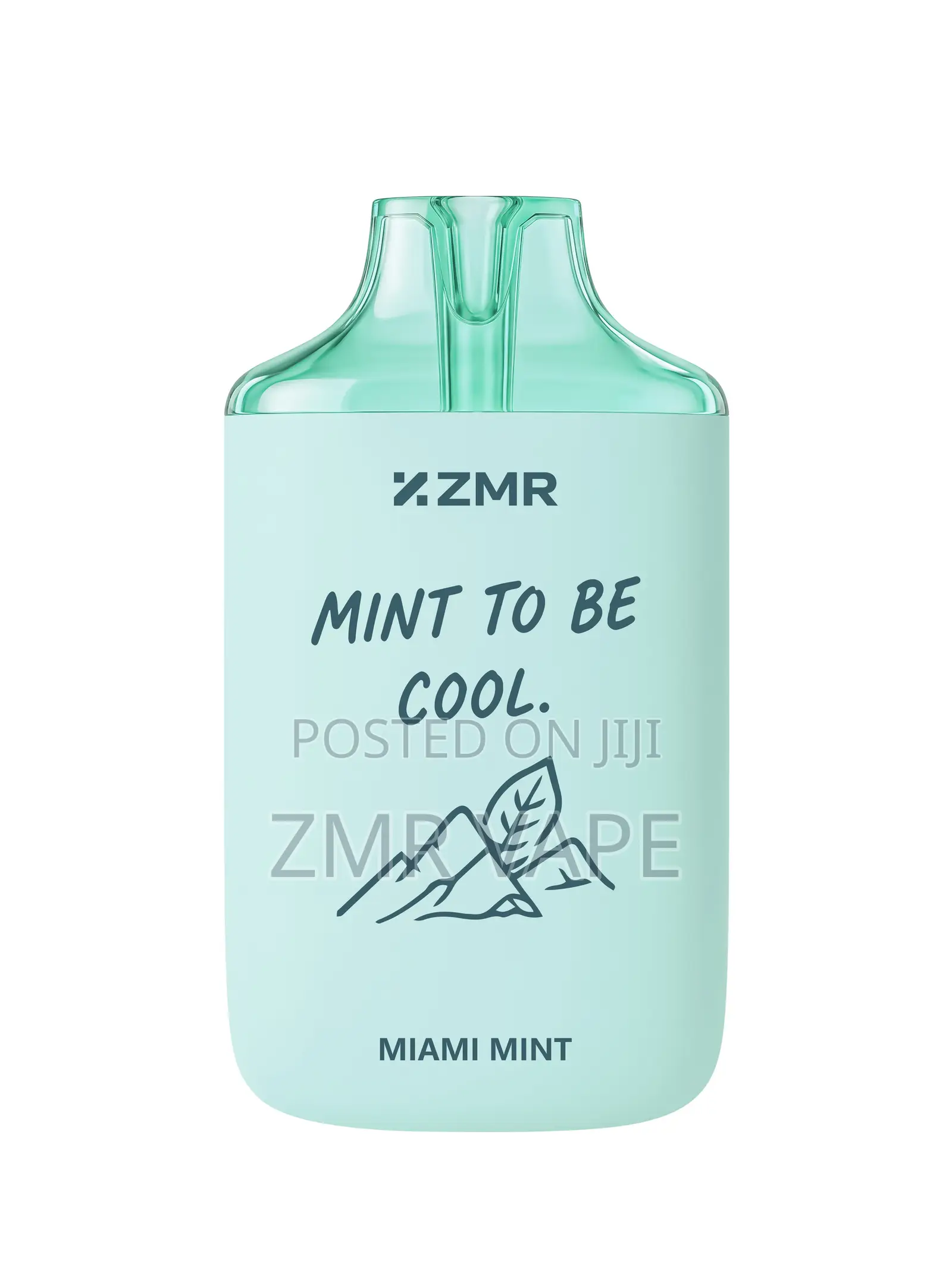 ZMR ICESHOT Miami Mint Rechargeable Disposable Vape – 10,000 Puffs