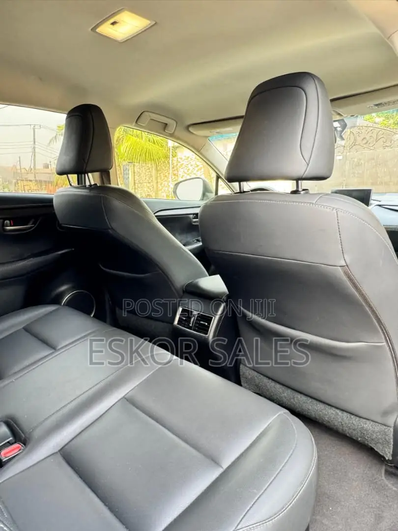 Lexus NX 2018 Gray