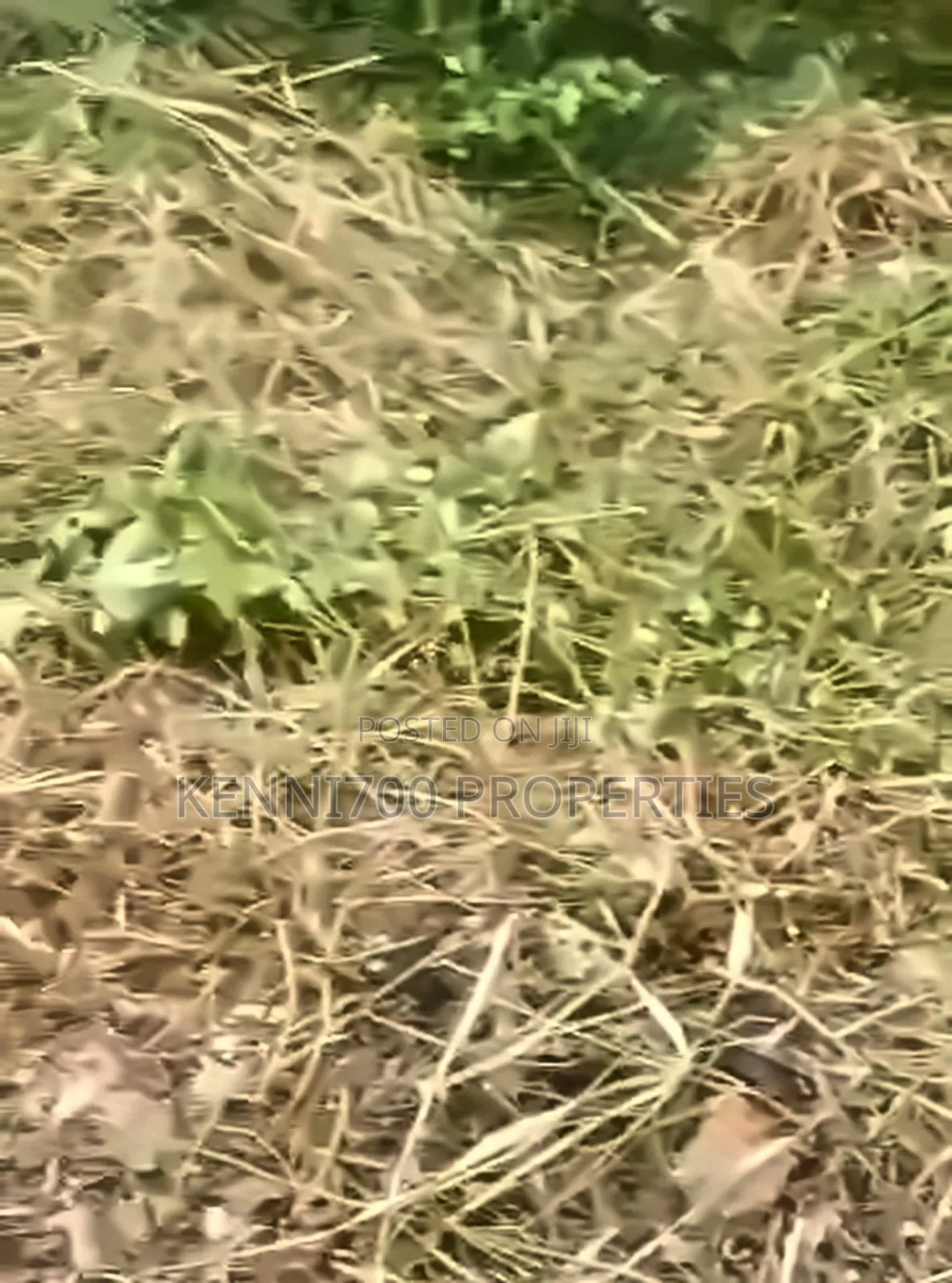 2 Plots of Land in Unilag Estate Magodo