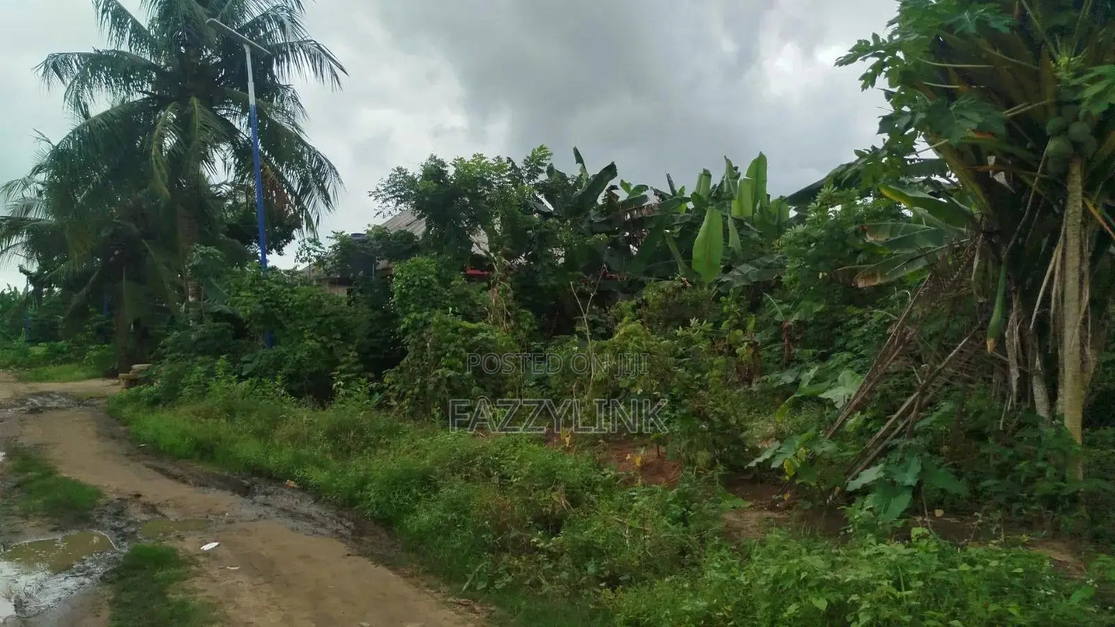 Omukwe Oparagwa,omagwa, Rivers State. Price Per Plot