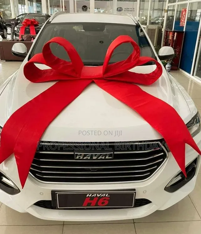 Ribbon on Car, Lagos Mainland