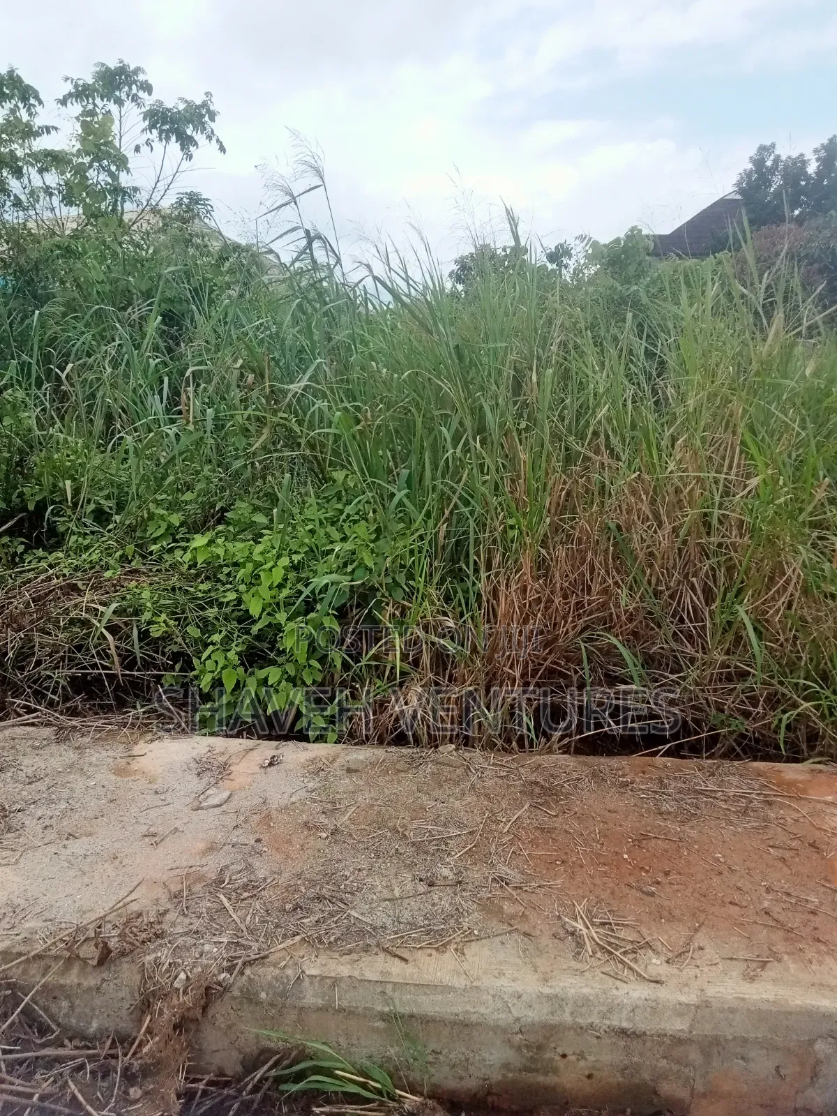 Plot of Land at Abiola Gasline. Ca