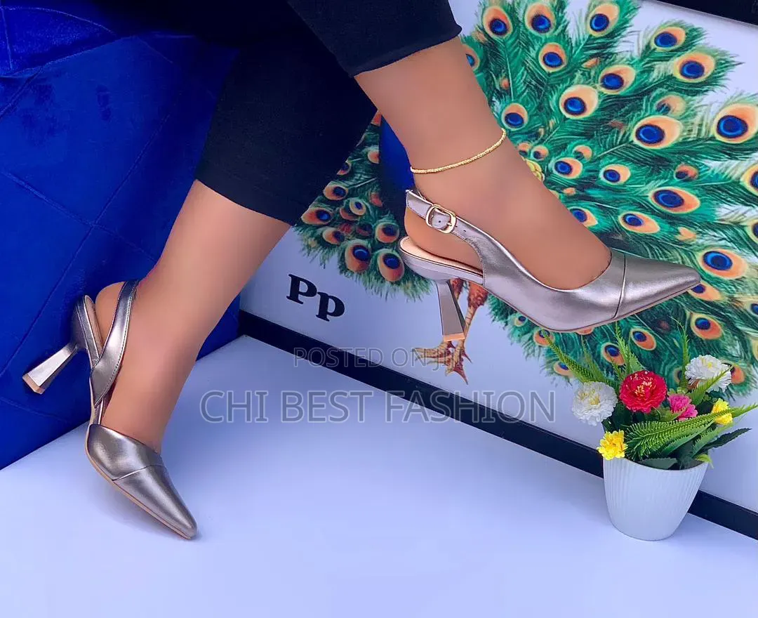 Aldo Heels for Women and Ladies