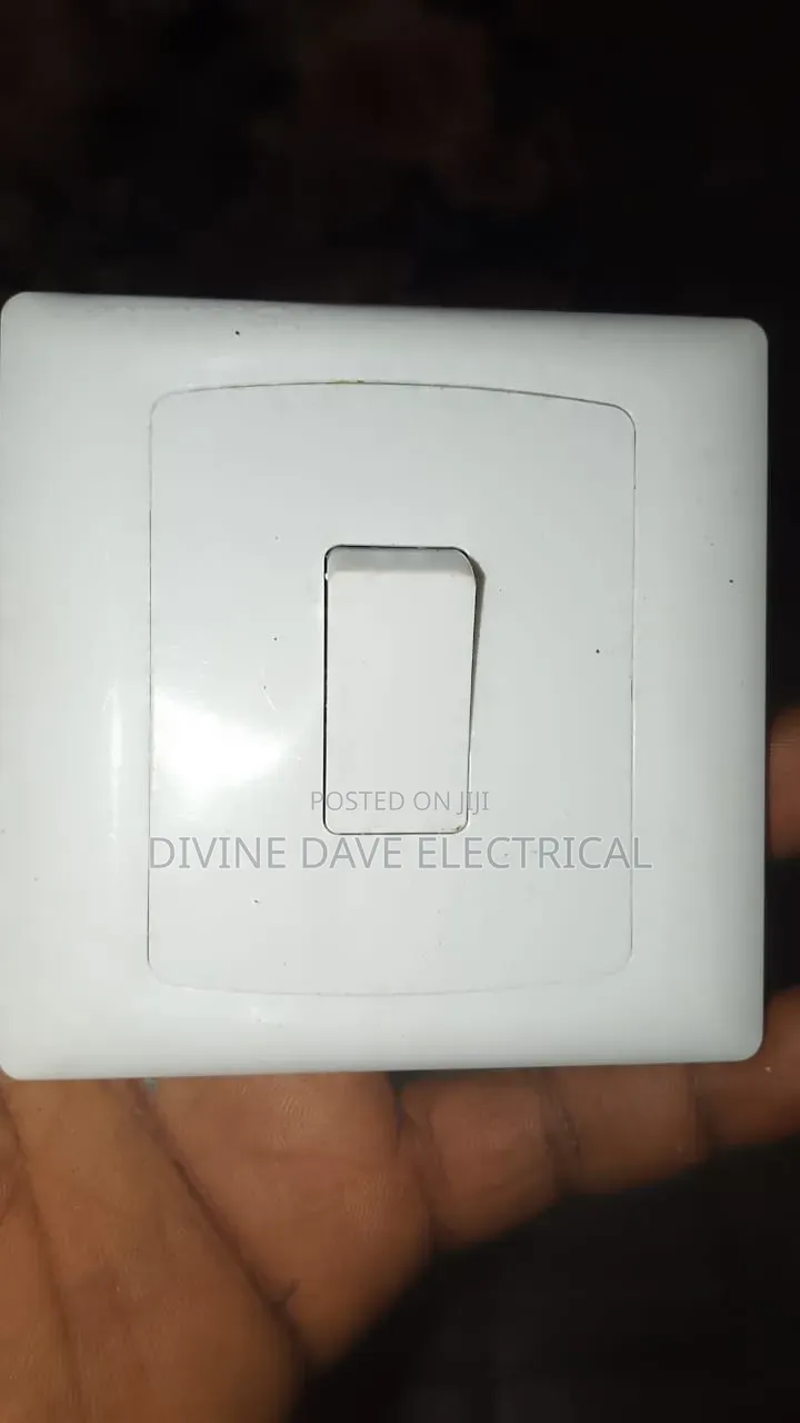 1G Original Switch