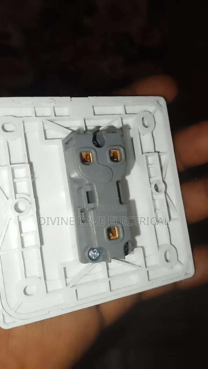 1G Original Switch
