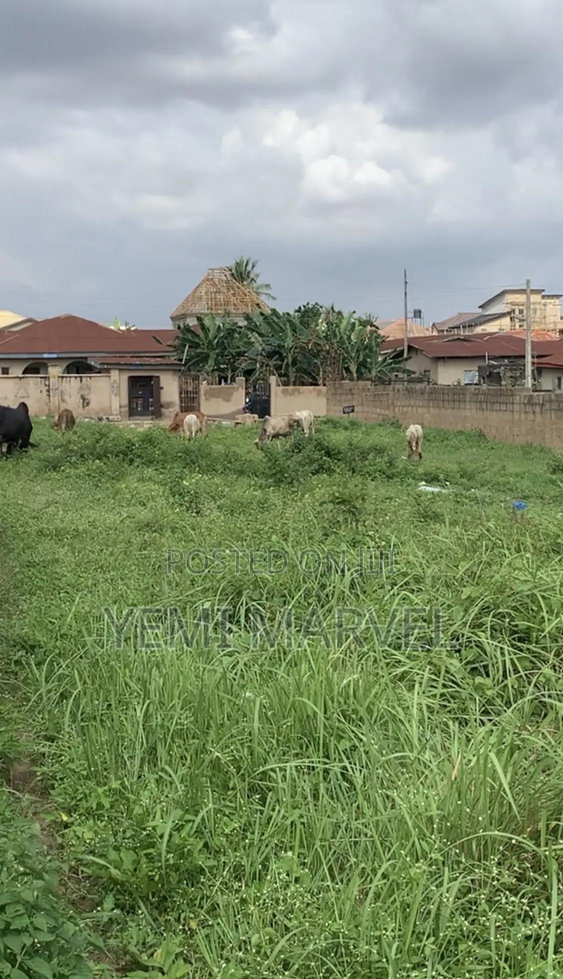 Partially Fenced 2Plots of Land With CofO at Premier Estate, Elebu