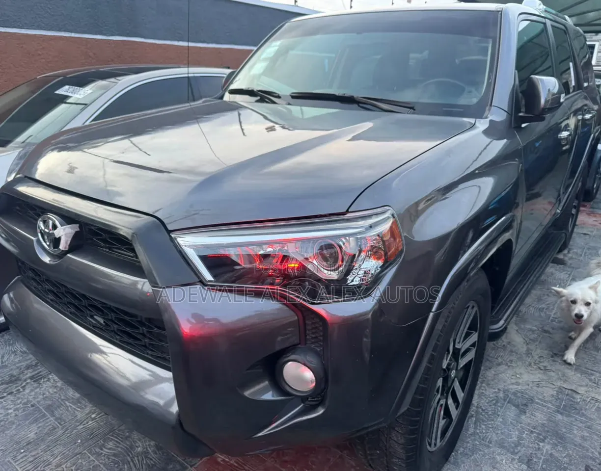 Toyota 4-Runner 2010 Gray