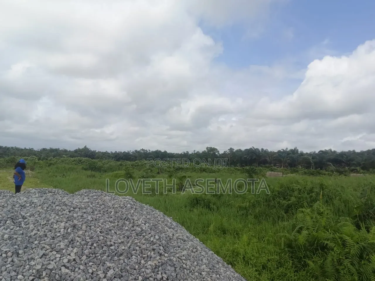 Land for Sale at Nwella Court, Iba, Ojo, Lagos