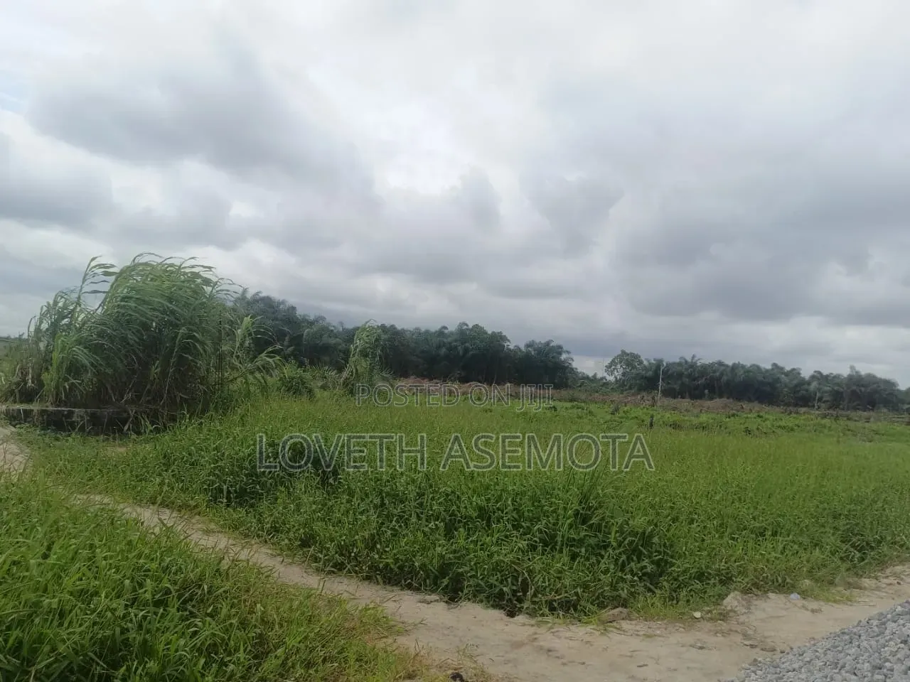 Land for Sale at Nwella Court, Iba, Ojo, Lagos