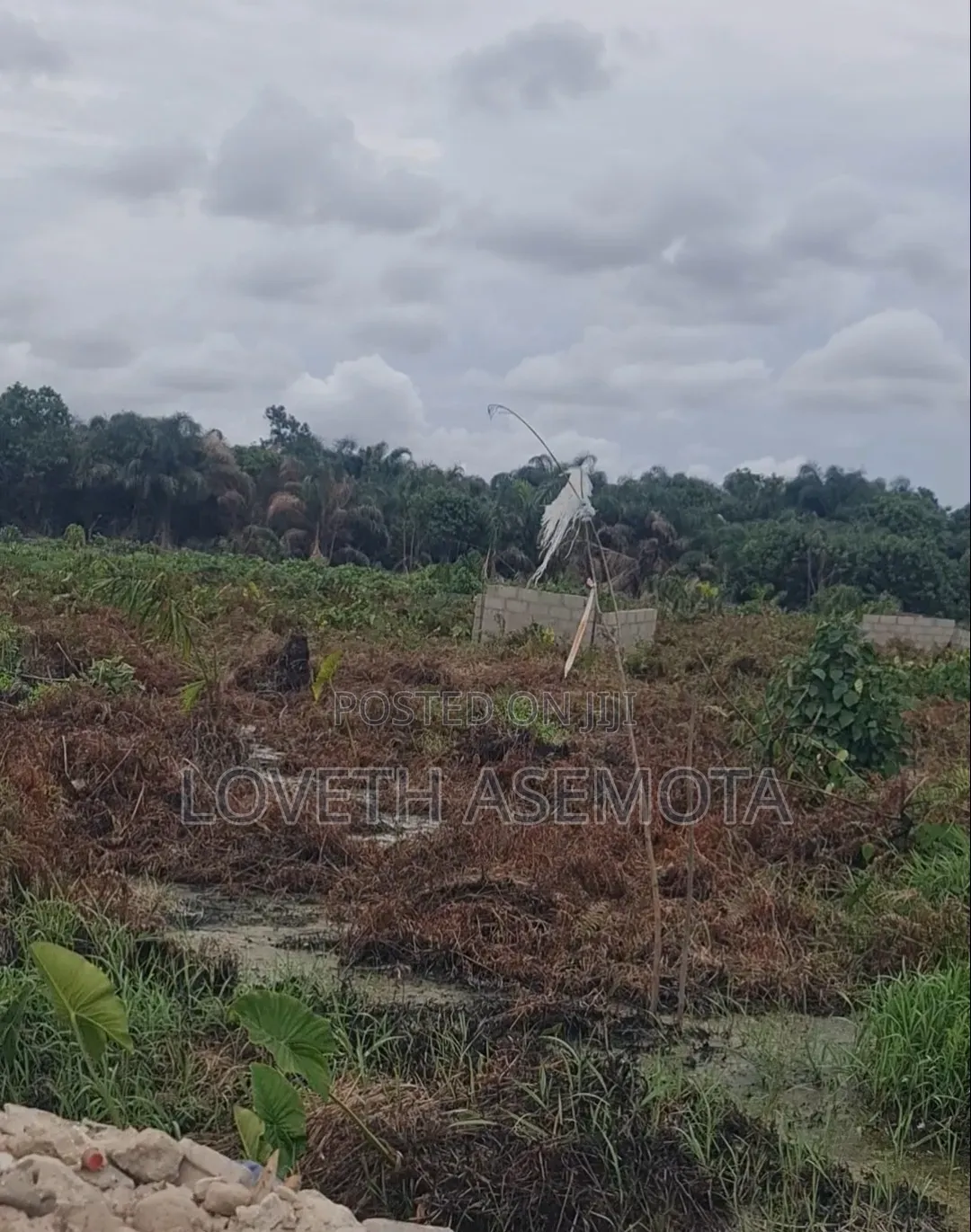 Land for Sale at Nwella Court, Iba, Ojo, Lagos
