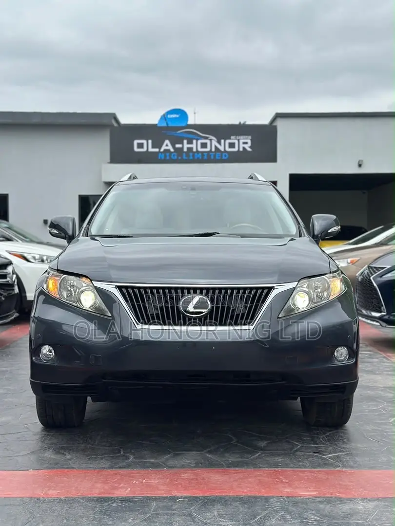 Lexus RX 350 2010 Gray