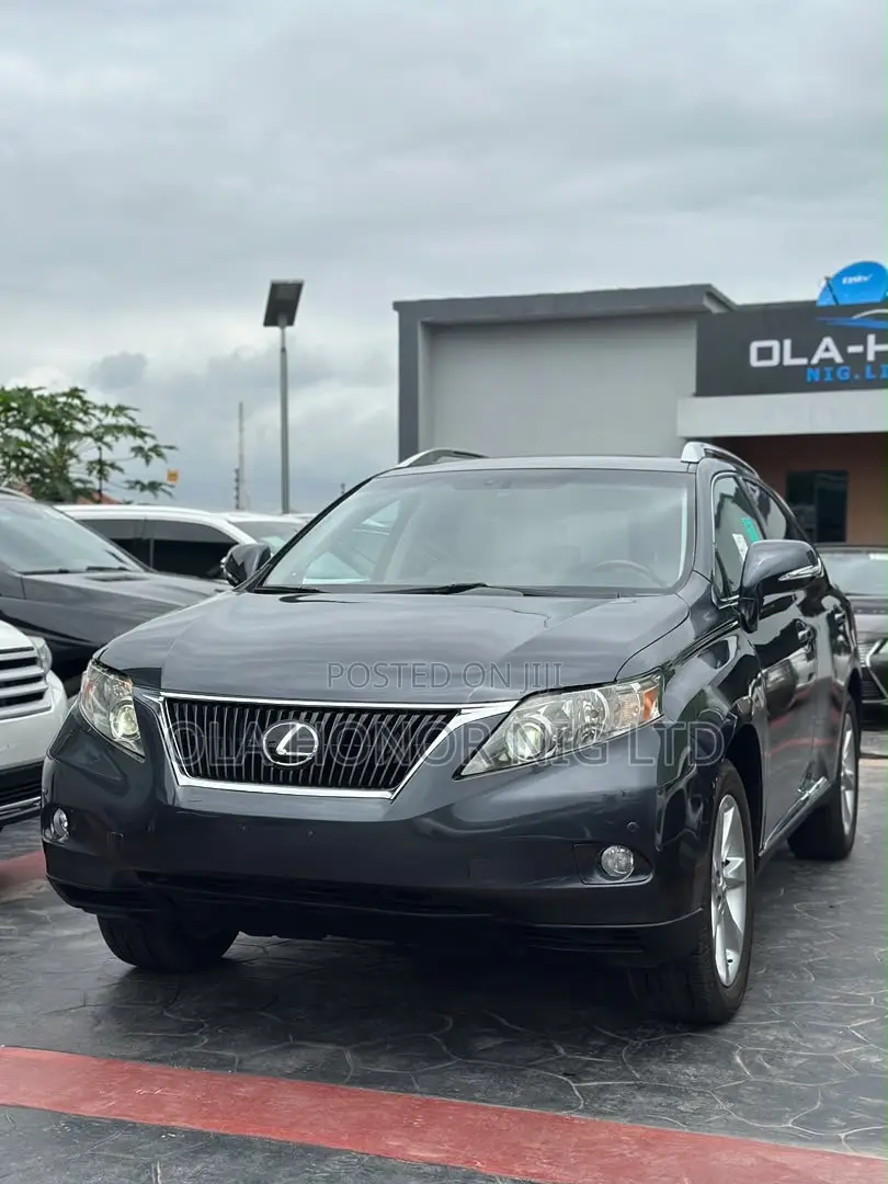 Lexus RX 350 2010 Gray