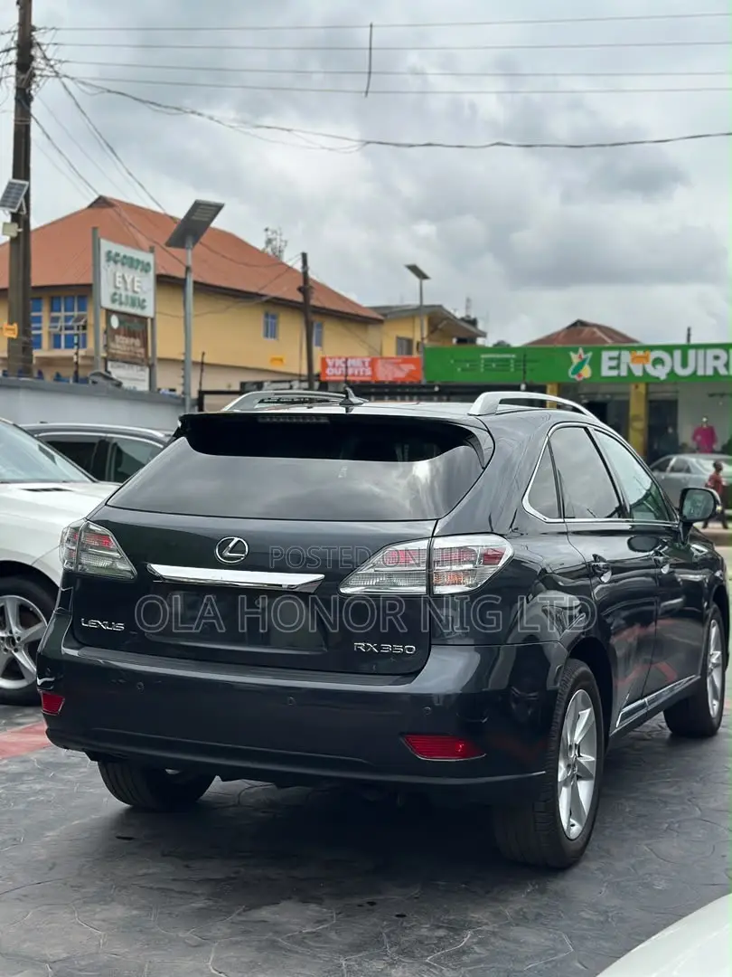 Lexus RX 350 2010 Gray