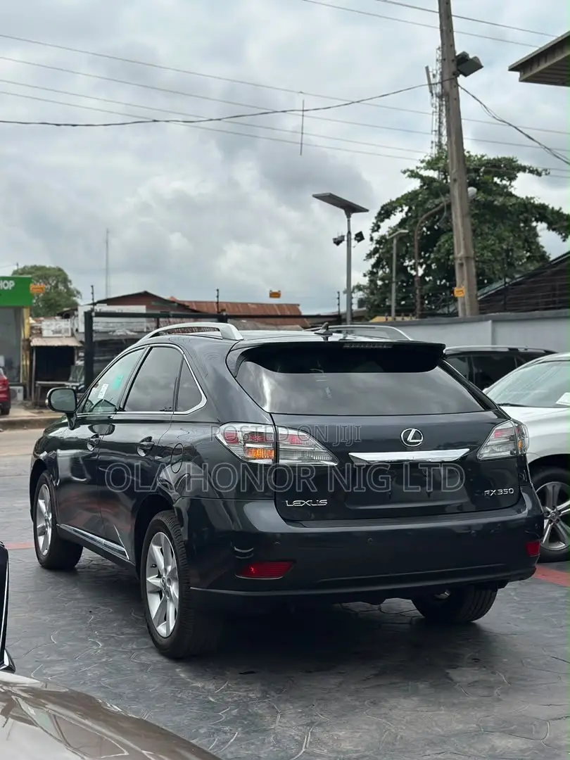 Lexus RX 350 2010 Gray