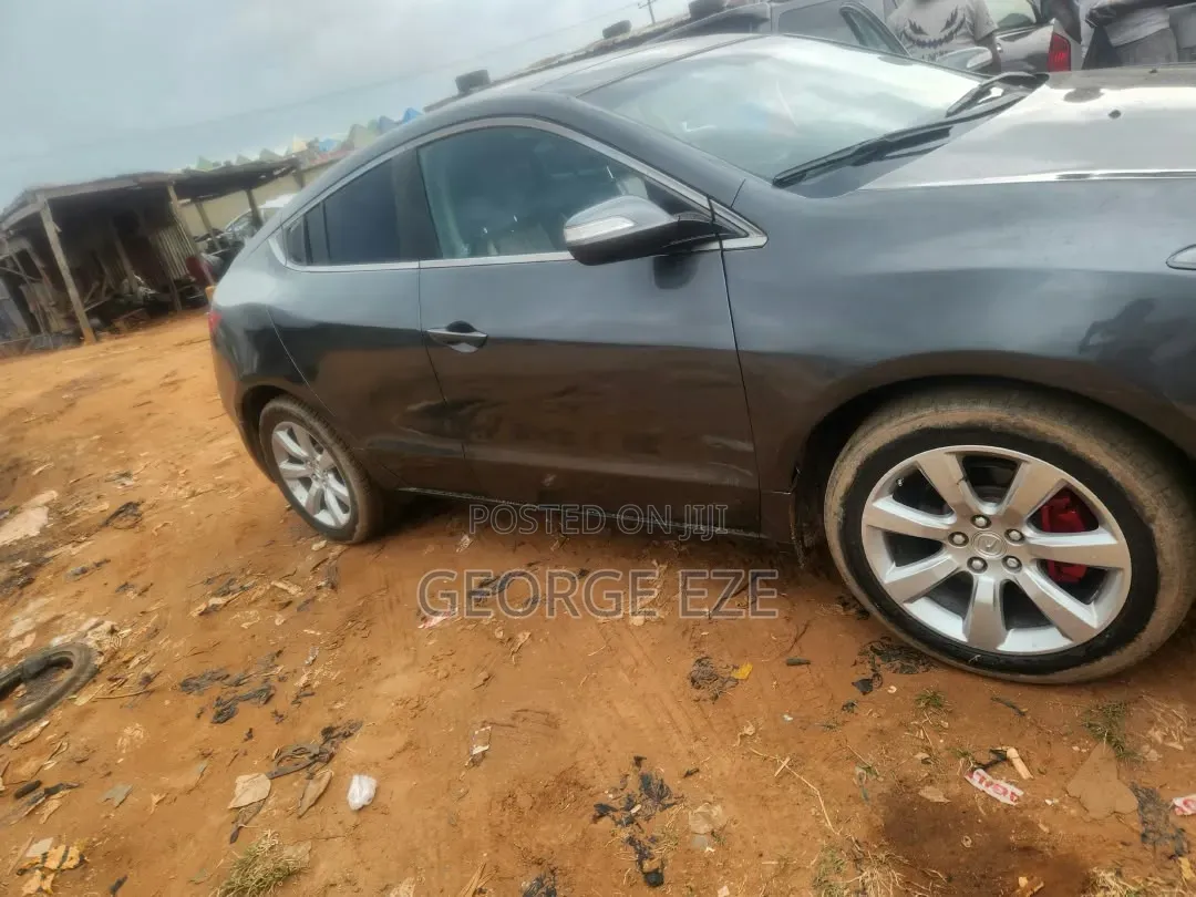 Acura ZDX Base AWD 2010 Gray
