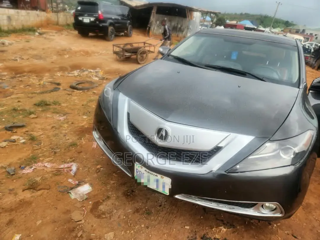 Acura ZDX Base AWD 2010 Gray