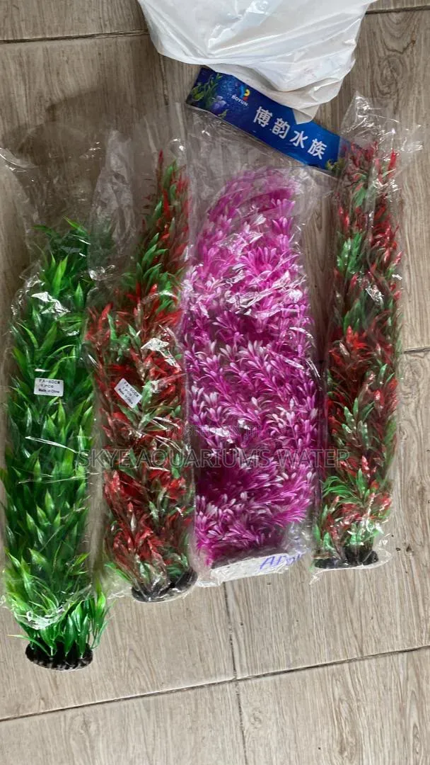 Aquatic Plant (Aquarium Flowers)
