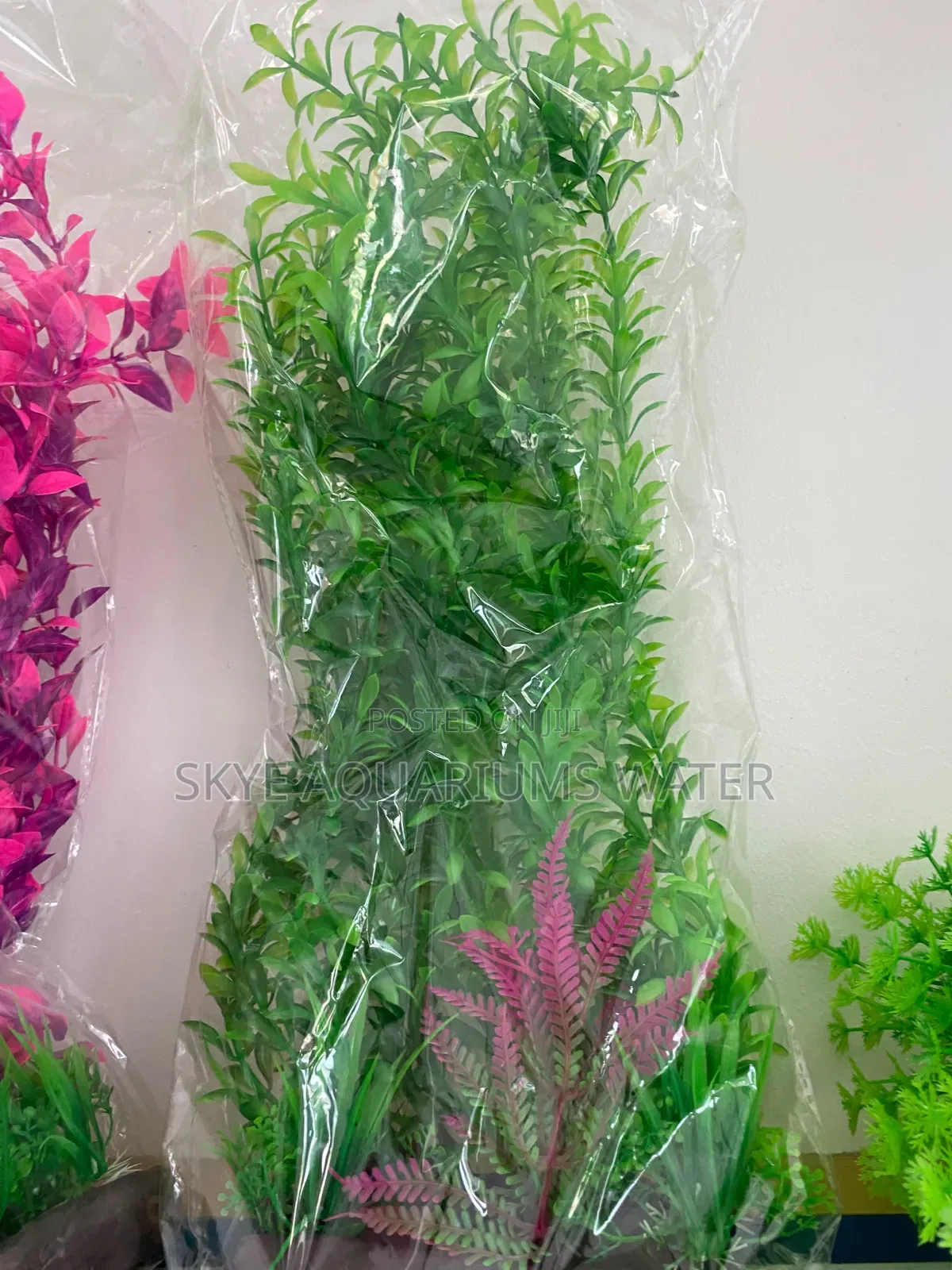 Aquatic Plant (Aquarium Flowers)