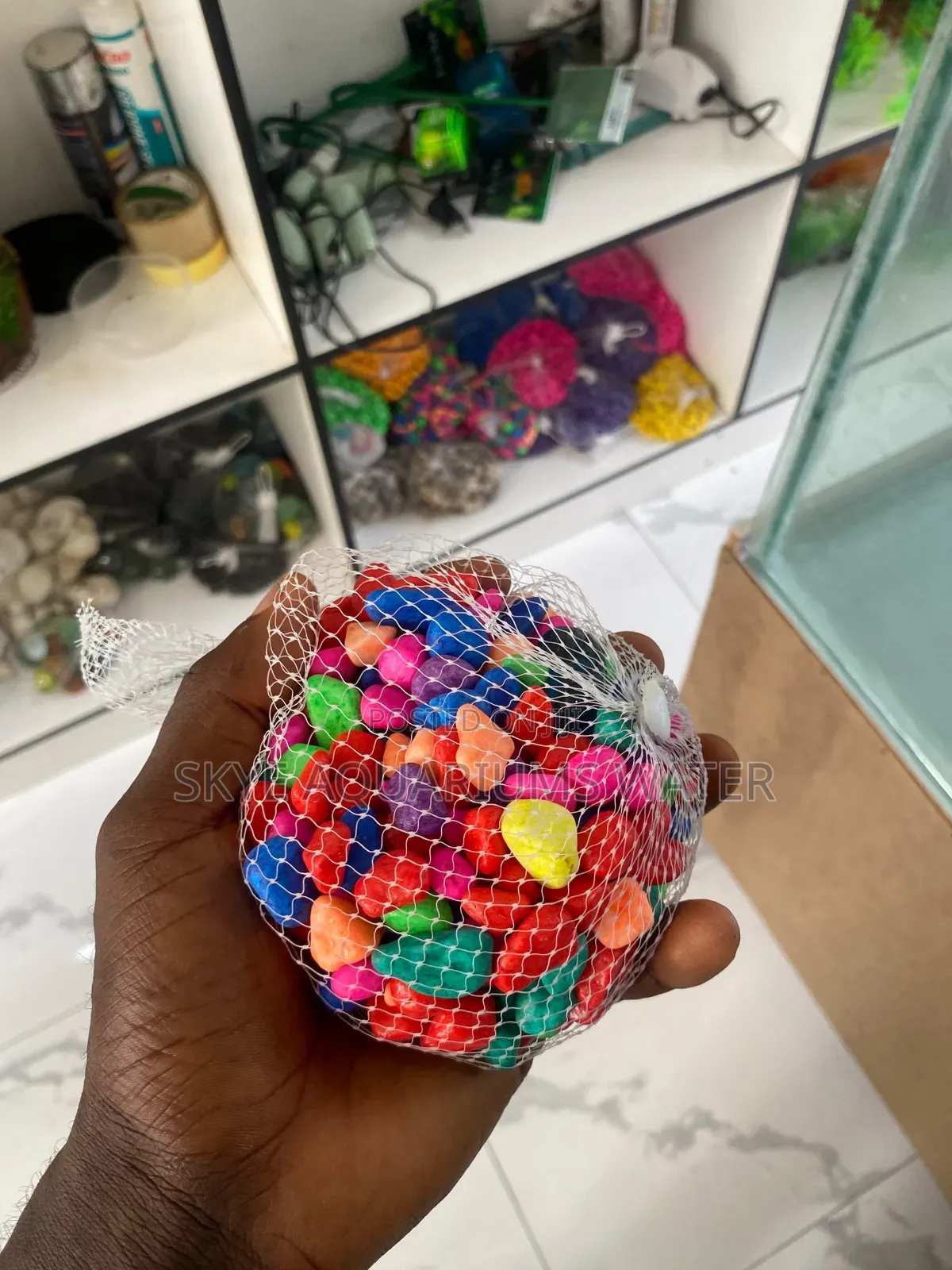 Color Stone, Pebbles and Shells