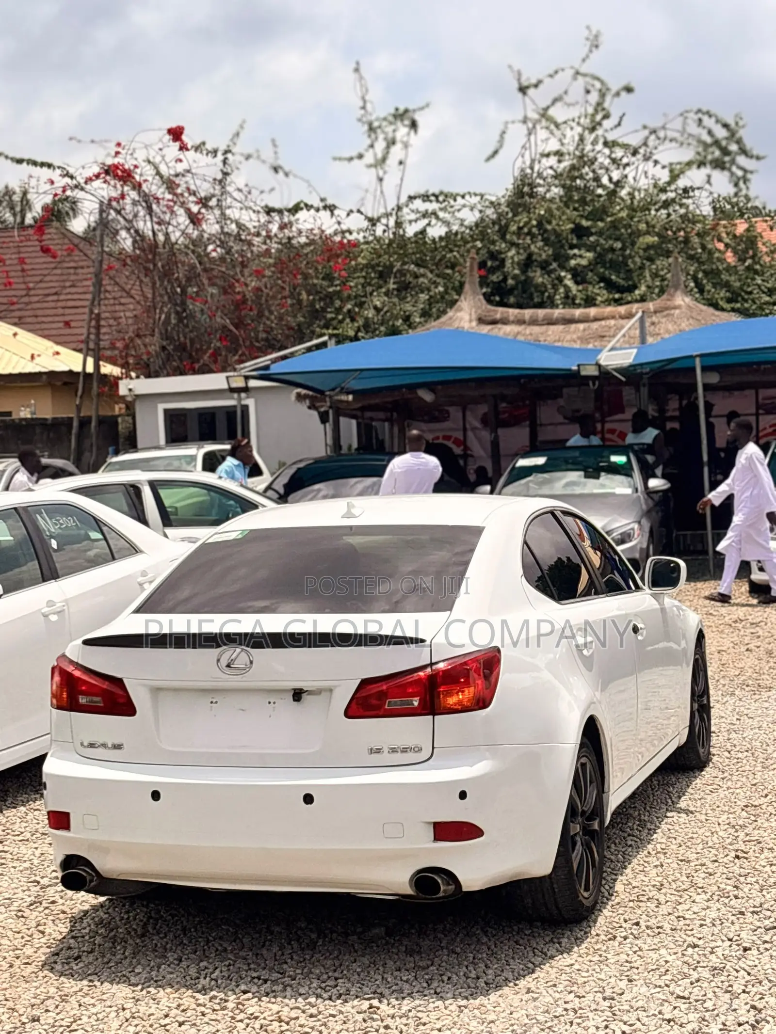 Lexus IS 250 2008 White