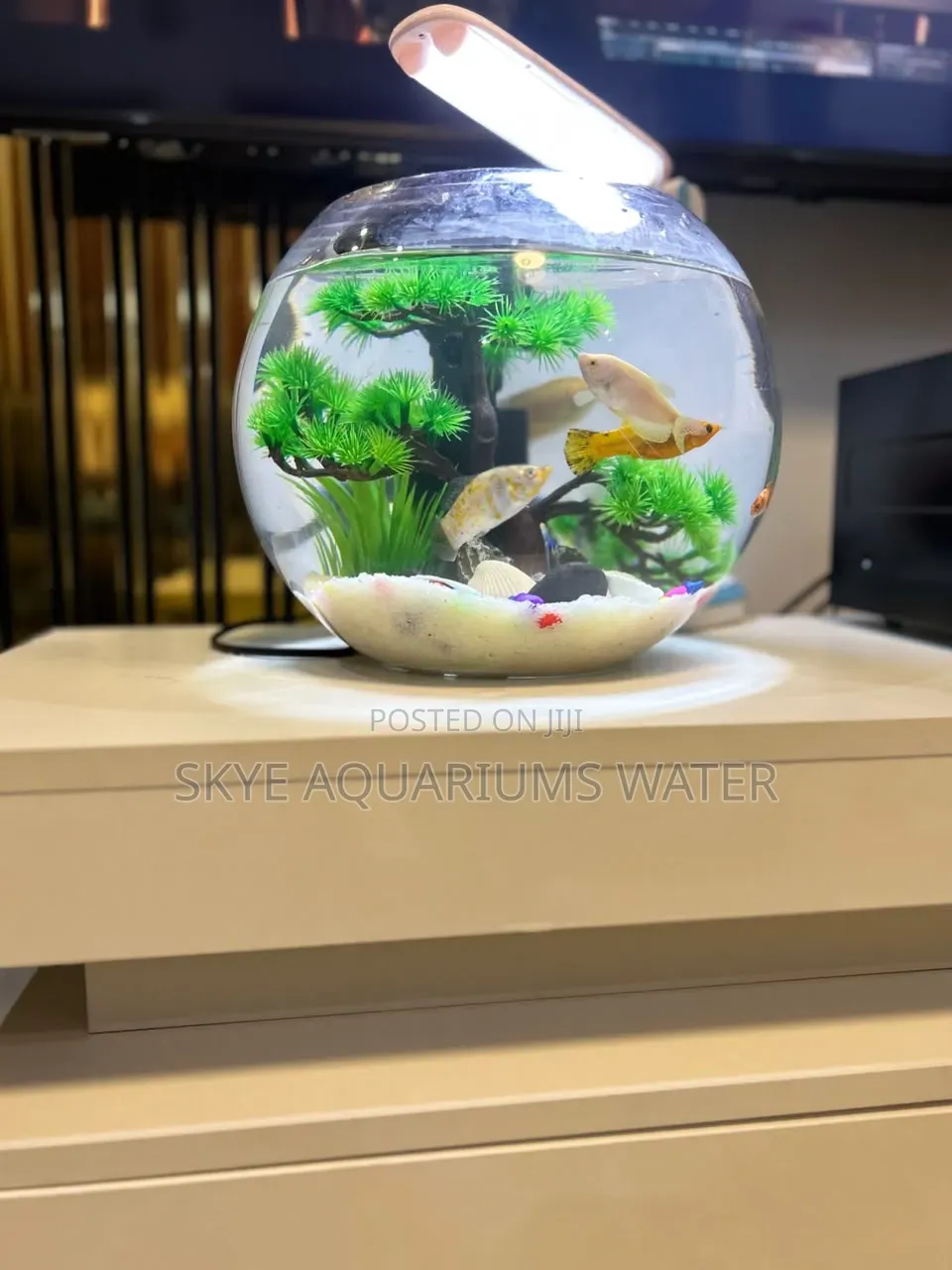 20 Litres Big Fish Bowl