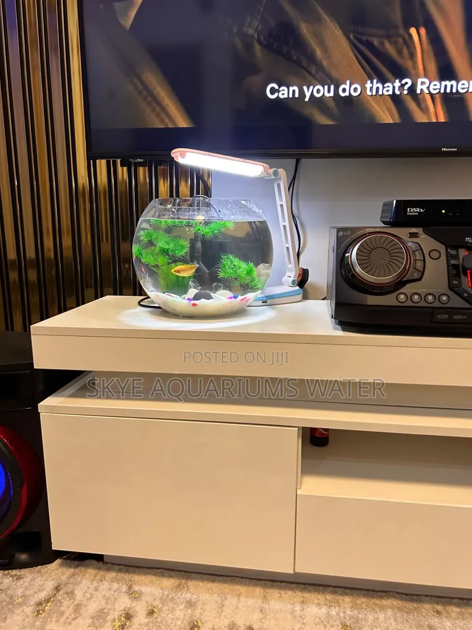 20 Litres Big Fish Bowl