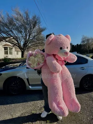 Black Friday Lealta Human Size Teddy Bears, Lagos Mainland Big Teddy