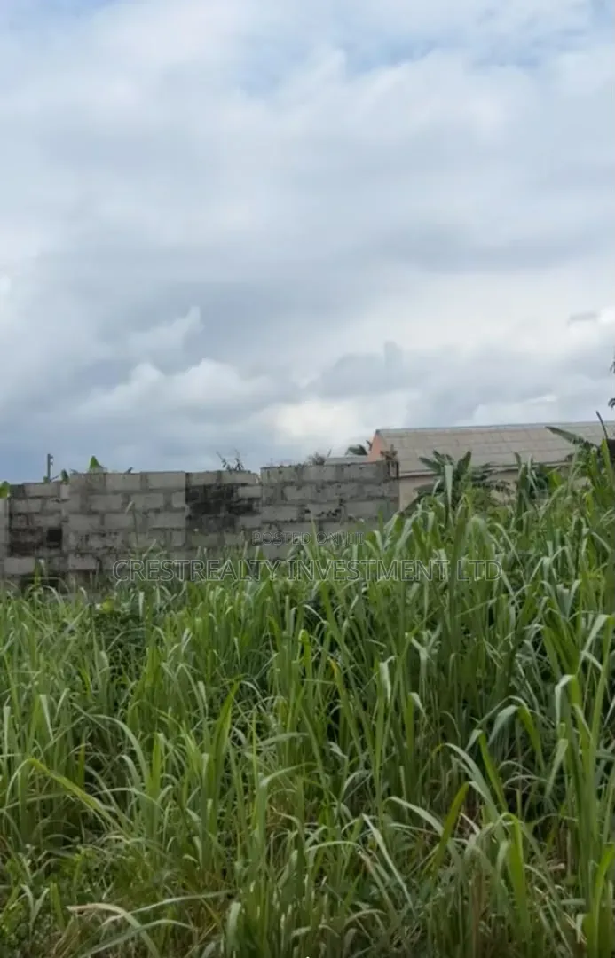 1bdrm Bungalow in Wetland Street,Back, Ado-Odo/Ota for sale
