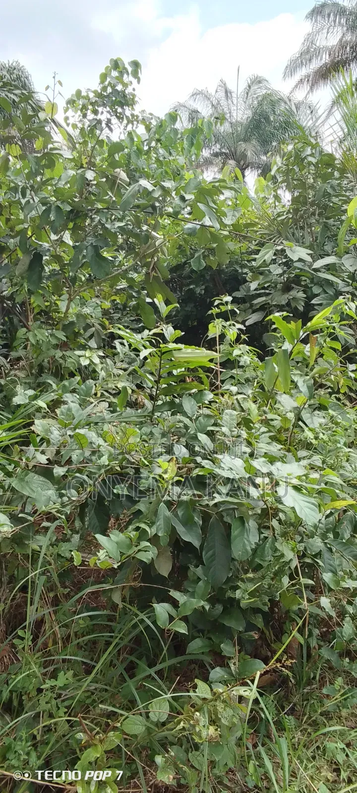 400 Plots Available for Sale.