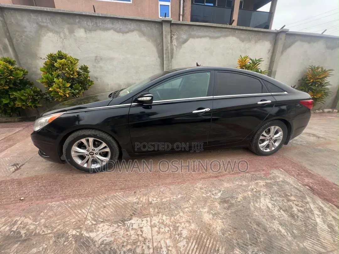 Hyundai Sonata Limited PZEV 2010 Black