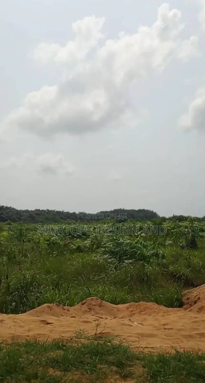 50 Acres of Land With Good Title in Shapati Lekki Epe Expr. Way Lagos