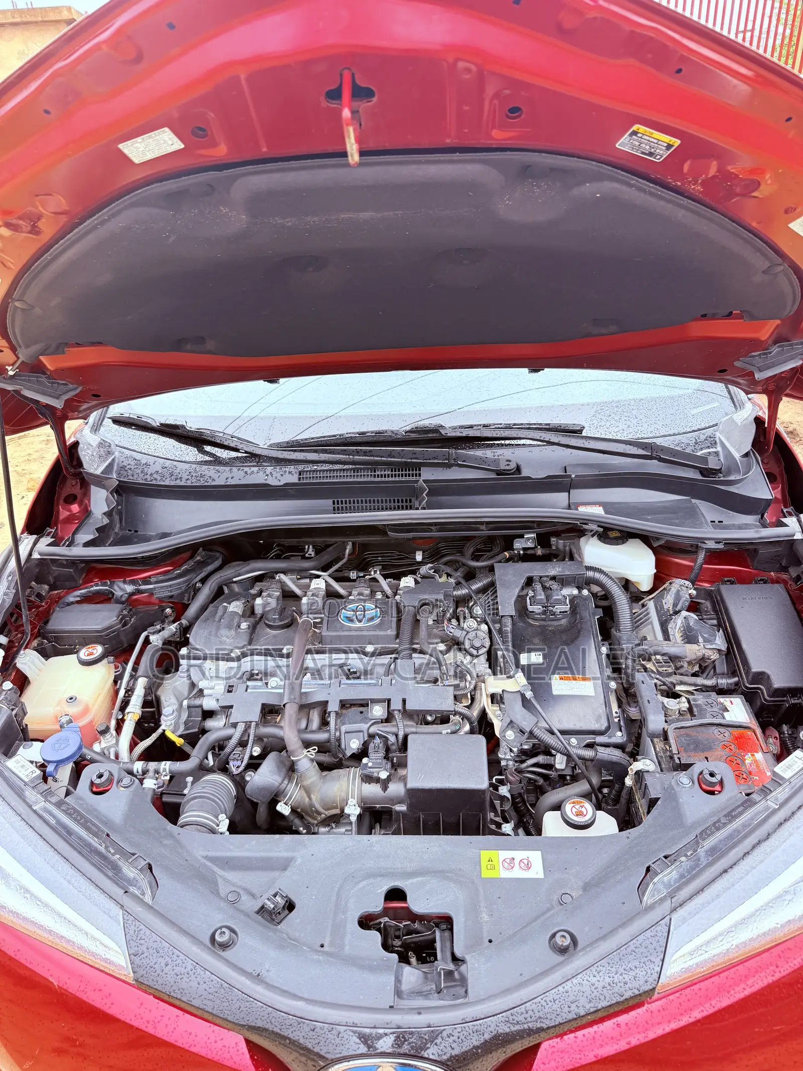 Toyota C-HR XLE FWD 2019 Red