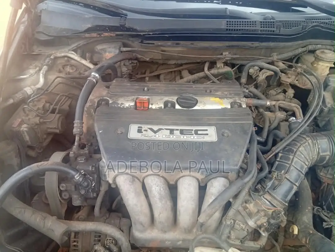 Honda Accord 2004 Gold