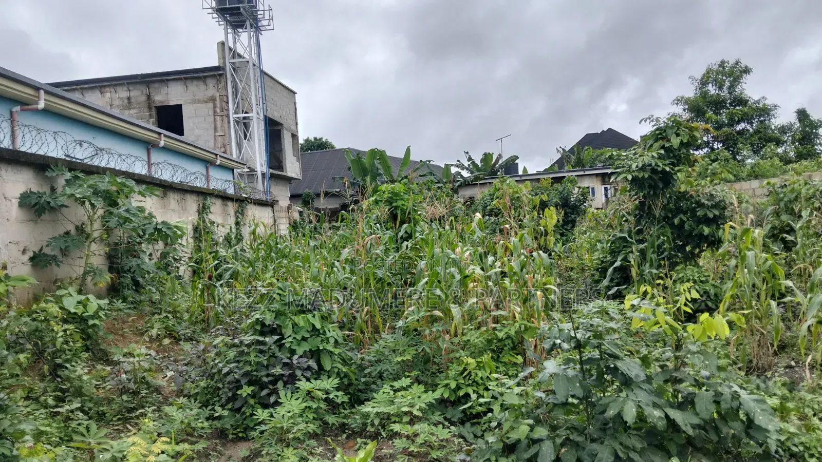 For Sale : Partly Fenced 1 Plot at Rumuokparali
