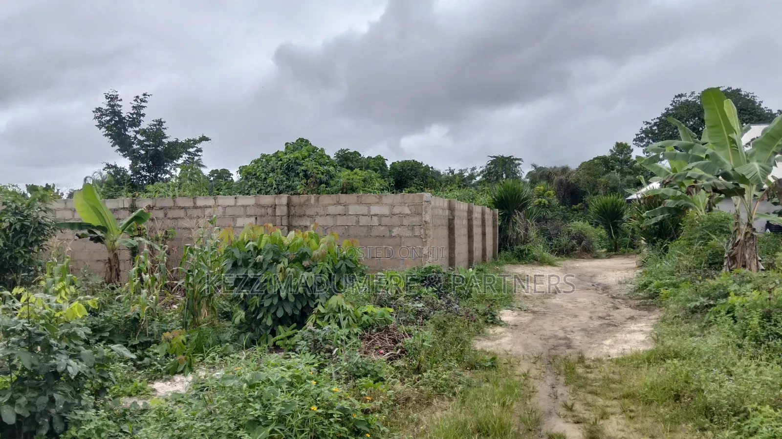 For Sale : Partly Fenced 1 Plot at Rumuokparali