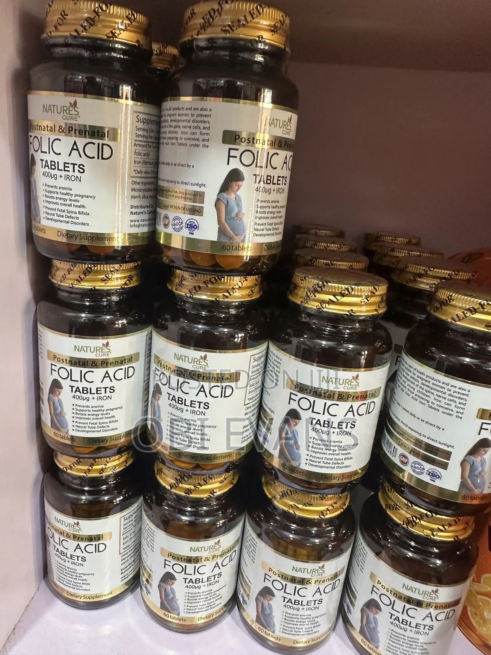 Postnatal and Prenatal Folic Acid