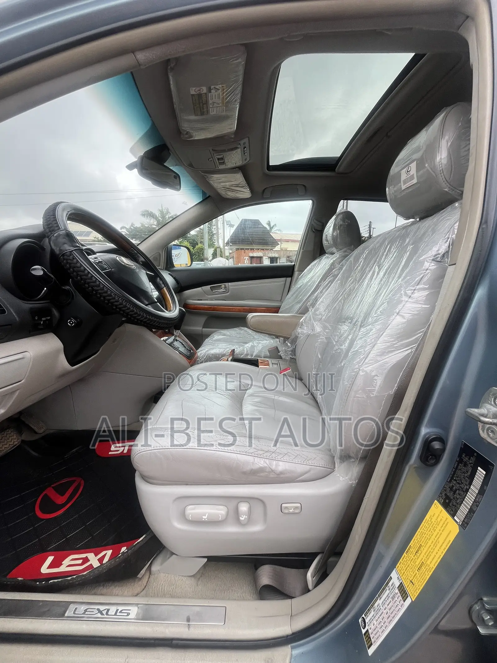 Lexus RX 2008 Blue