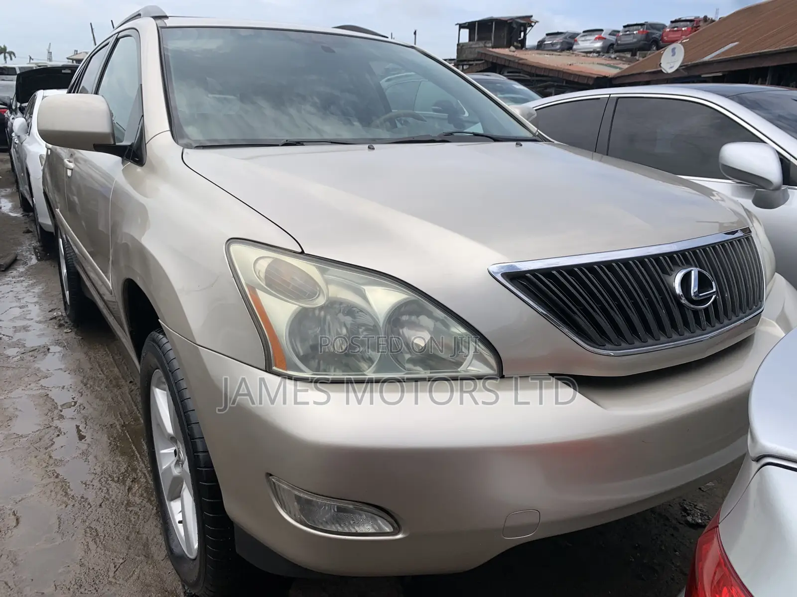 Lexus RX 2005 Gold