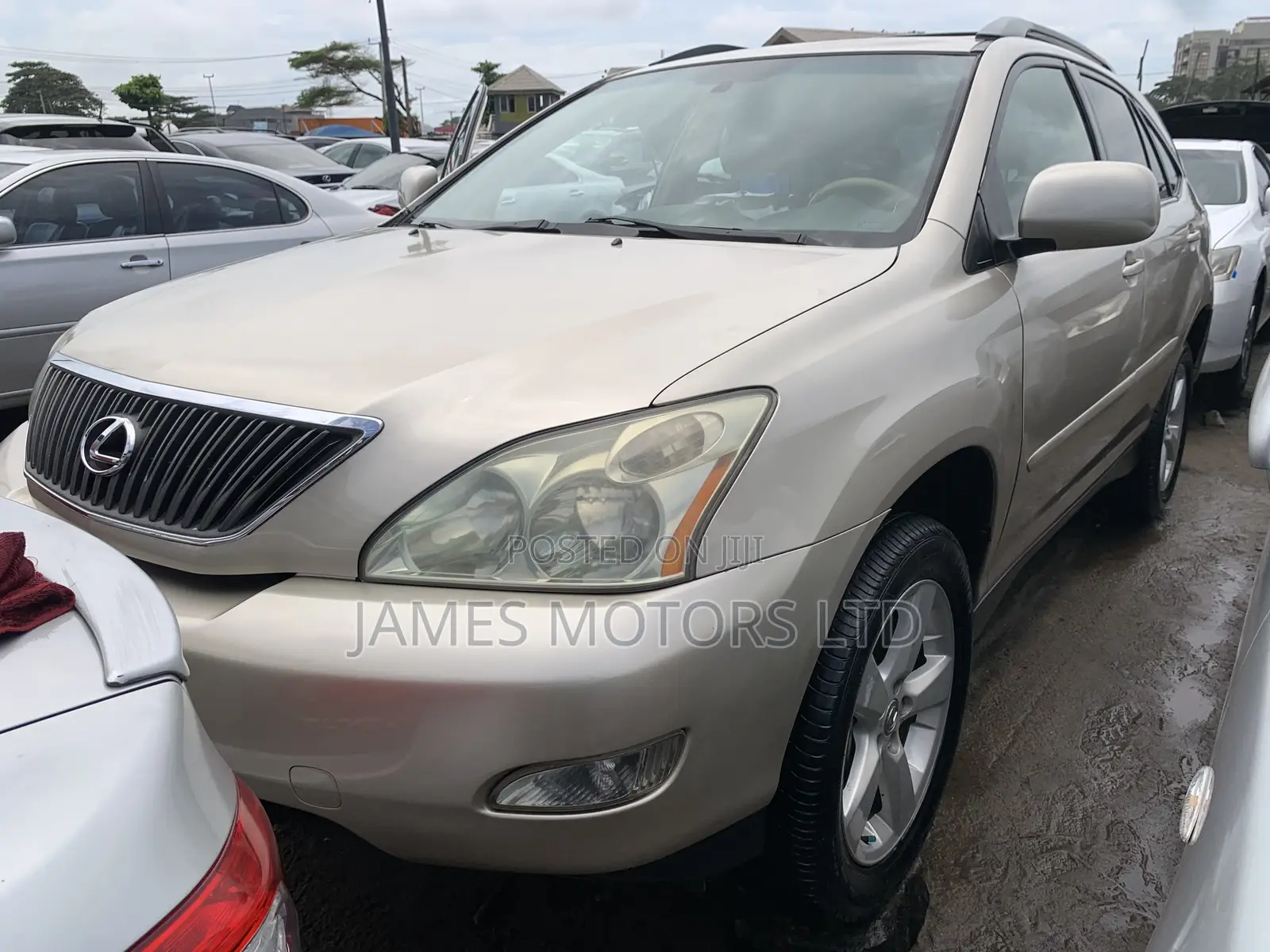 Lexus RX 2005 Gold