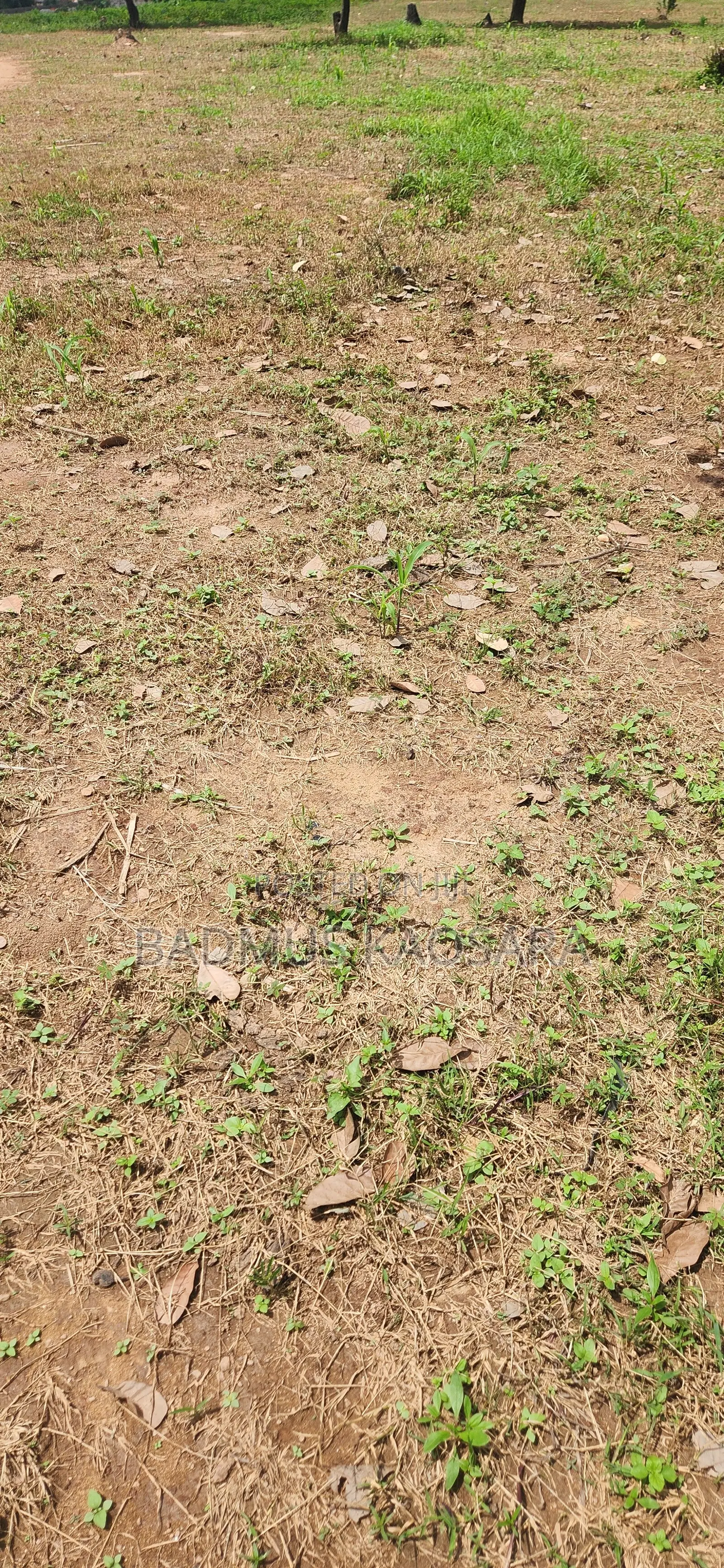 Spacious Residential Land for Sale