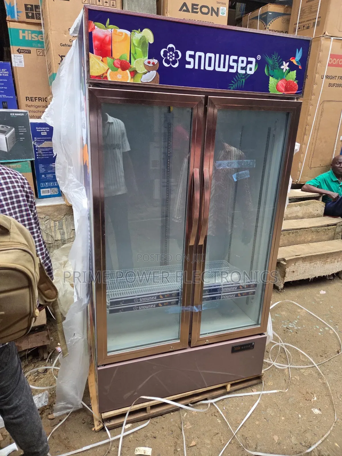 Snowsea Double-Door Freezer for Business