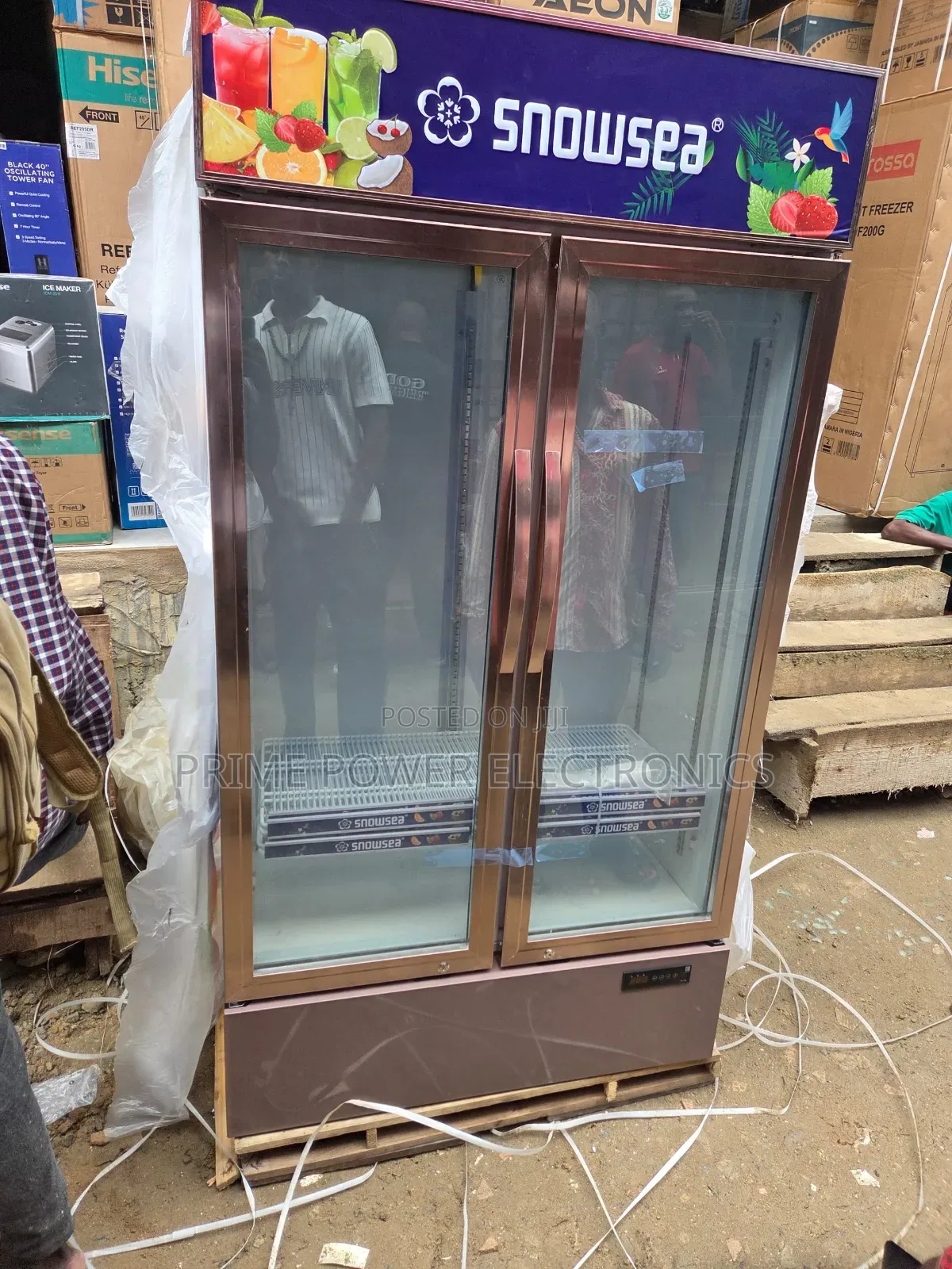 Snowsea Double-Door Freezer for Frozen Food Business