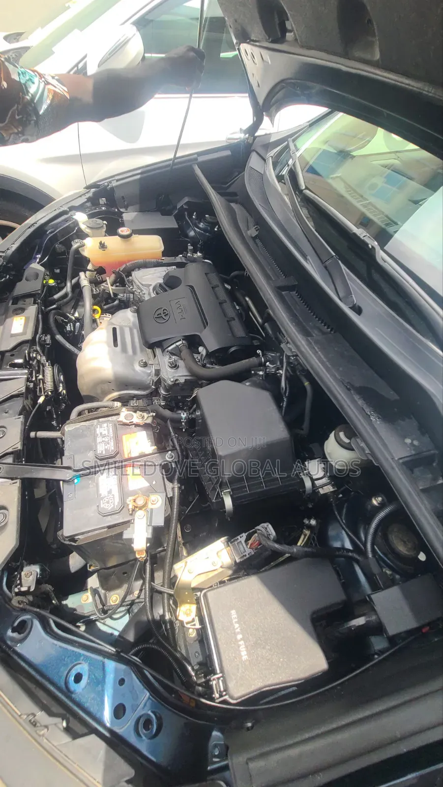 Toyota RAV4 2019 Green