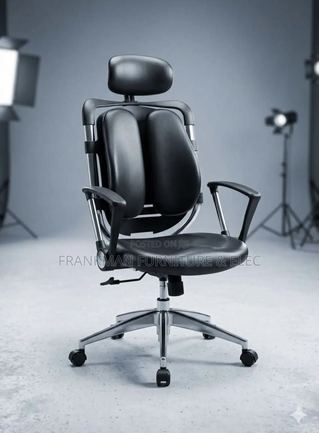 Executive Ergonomic Office Chair