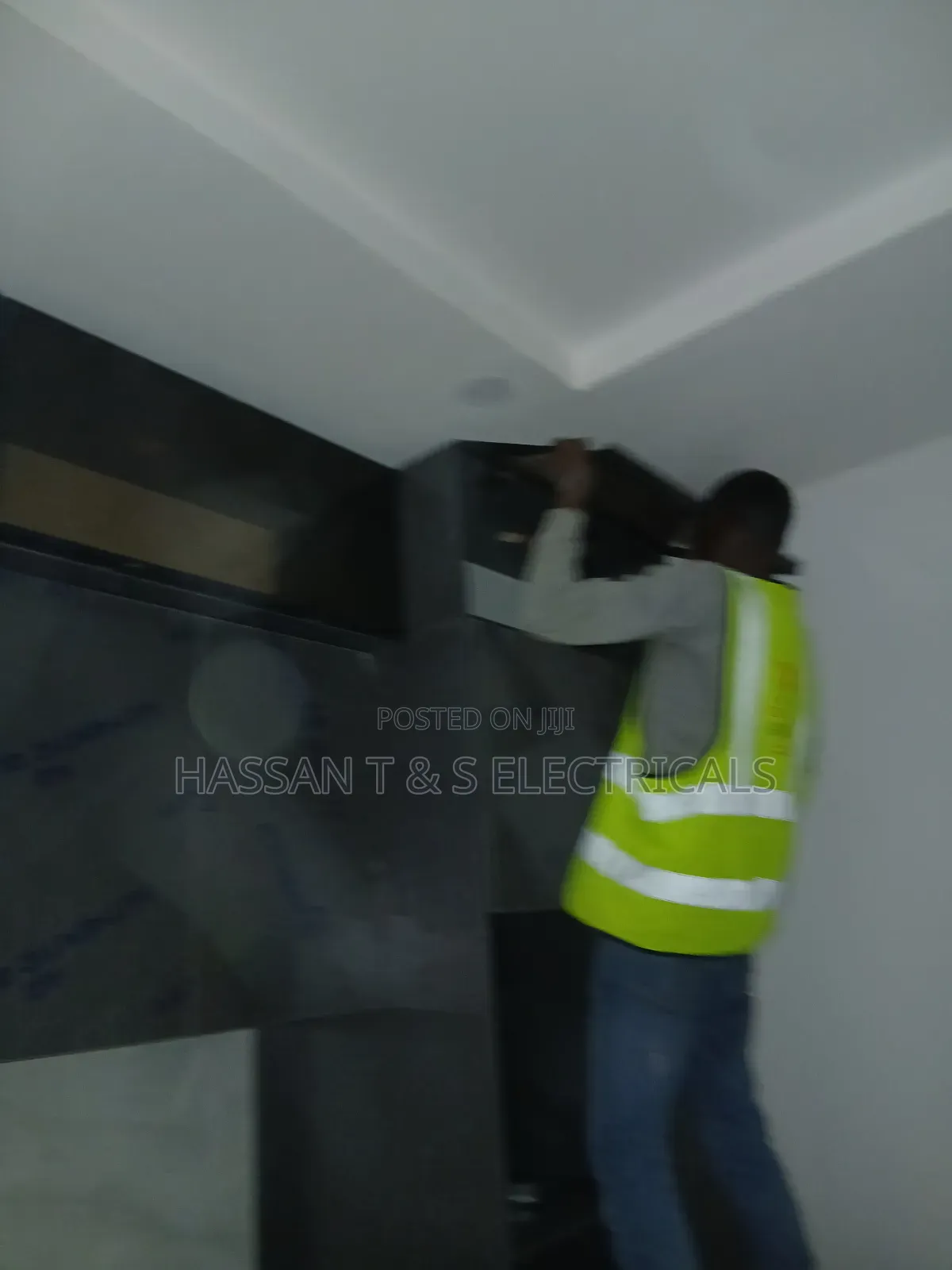 Professional Electrician