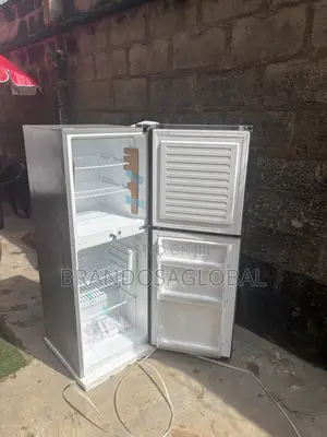 Skyrun BCD-195 Daily Use Fridge