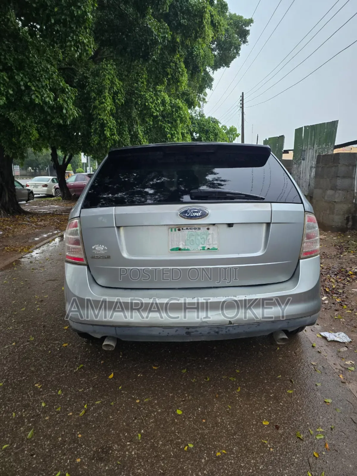 Ford Edge 2008 Silver
