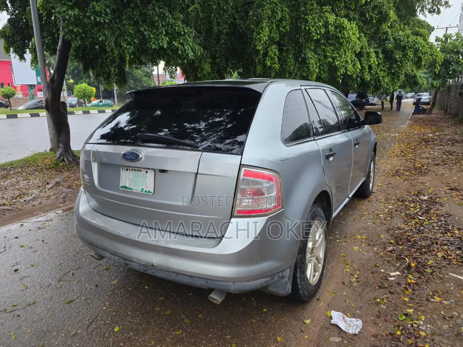 Ford Edge 2008 Silver